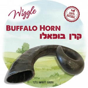 **קרן בופאלו WIGGLE **קרן בופאלו WIGGLE