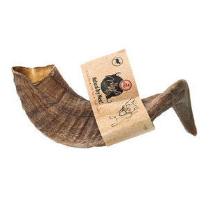 ���� ����� ��� ��� �� - ����� 1