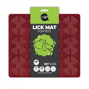 ���� ����� ����� - ����