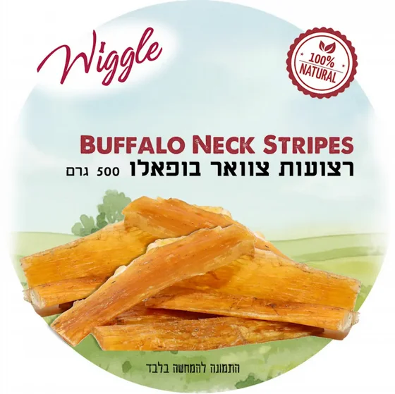 ������ ����� ������  WIGGLE - ���� ��� 500  ���