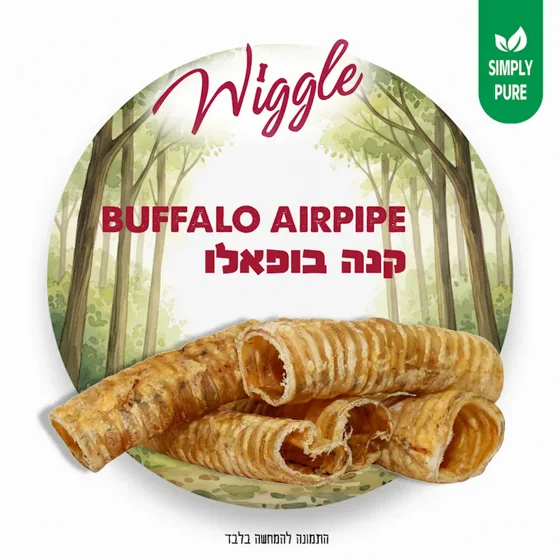 ��� ������ WIGGLE - ���� ��� 500  ���