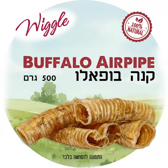 ��� ������ WIGGLE - ���� ��� 500  ���