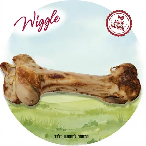 ��� ������ ����� ������ WIGGLE