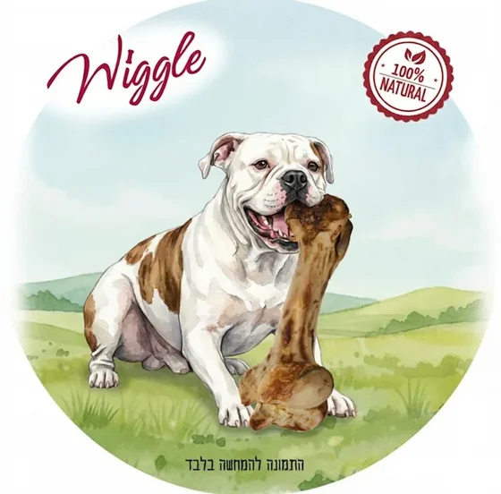 ��� ������ ����� ������ WIGGLE