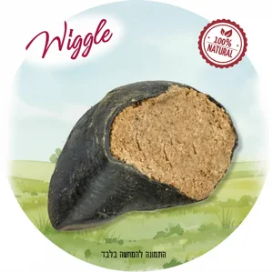 ���� ������ ���� ���� ���� WIGGLE | ���� ����� ����, ���� �����