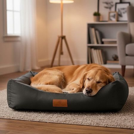 ���� ��������� ���� Zigipet Comfort - ���� ����� ����� ���� | ��� ����