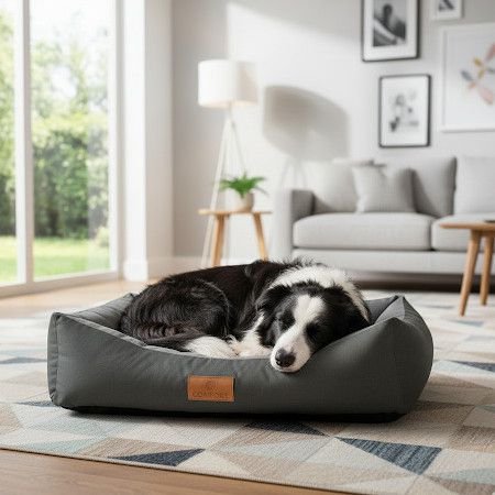 ���� ��������� ���� Zigipet Comfort - ���� ����� ����� ���� | ��� ����