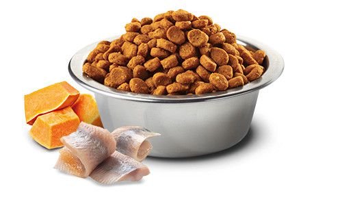 N&D ����� ��� ����� �� ���� ����� ��� ����� - ����