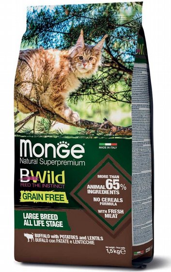 Monge ���� �� ����� ����� ������� ������ ���� ����