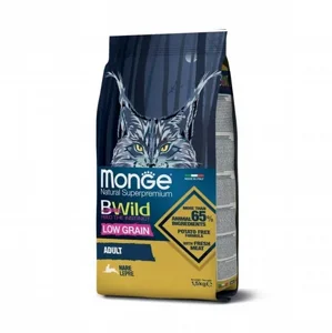 Monge ����' �� ����� ����� ������� ������