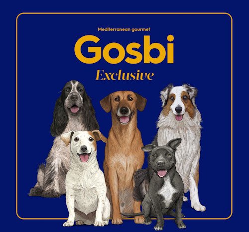 ����� (Gosbi) - ����� ������� ����� ����� ��� ������