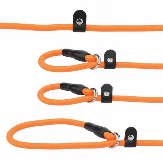 ���� ����-��� ���� Pet P Chain | ���� ����� ������ ���� ������ �� ����� | ���� ���� ������