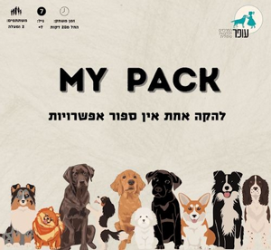 גזע בריבוע - קלפי משחק כלבנות טיפולית גזע בריבוע - קלפי משחק כלבנות טיפולית