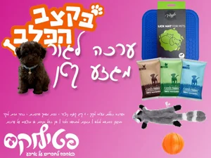 בקצב הכלב: ערכה לגור מגזע קטן בקצב הכלב: ערכה לגור מגזע קטן
