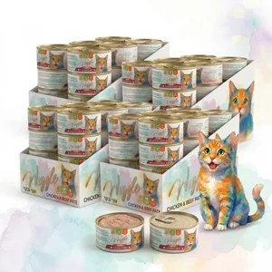 ���� ������: 96 ��' ����� WIGGLE ����� (4 ����� 24) ������