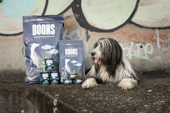 Boons Sensitive � ���� ���������� ���� ����� ������ ������