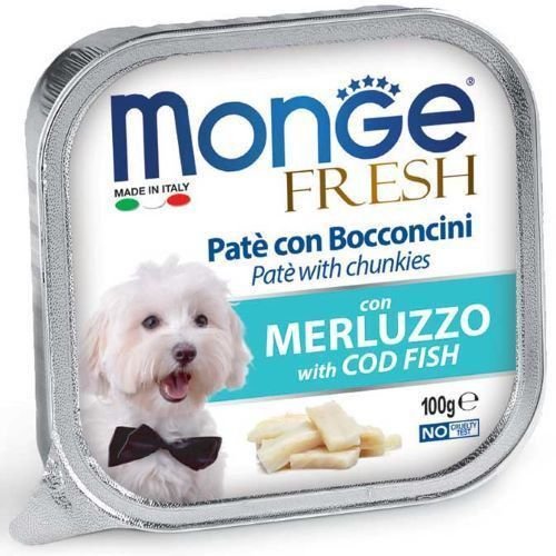 MONGE ���� ���� ��� ���� ��� �� ����| 100 ���