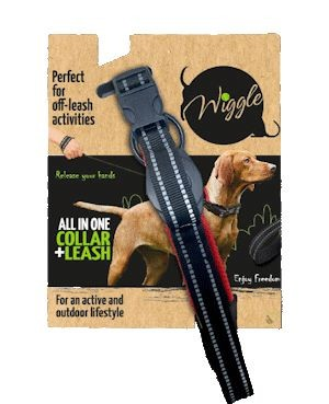 ���� ALL IN ONE - ���� �� ����� ������