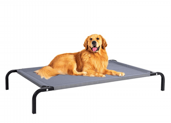 ���� DOGSLIFE ��������� ������ ��� - ����