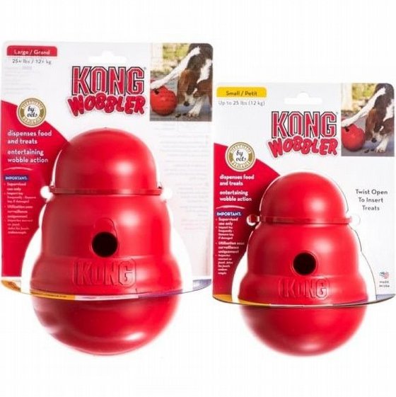 Kong ���� ������ ����� ������