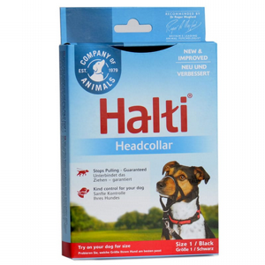 ����� ���� ��� ������ �����