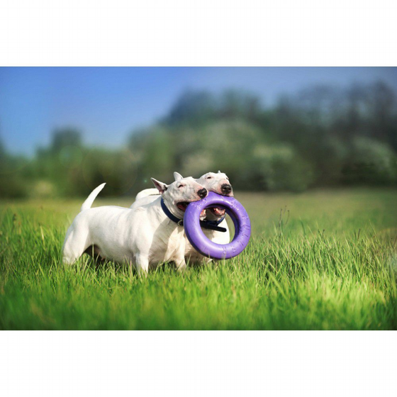���� ����� ������ ����� Puller