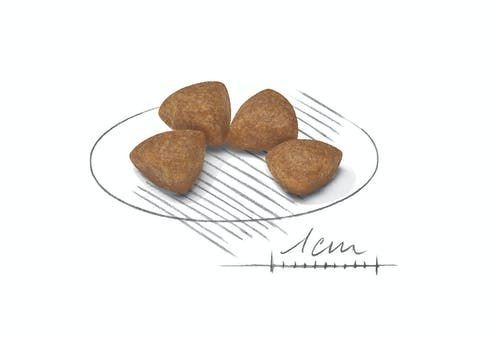 Royal Canin ����� ���� ���� ����� ����� ���� ��� ��� XS