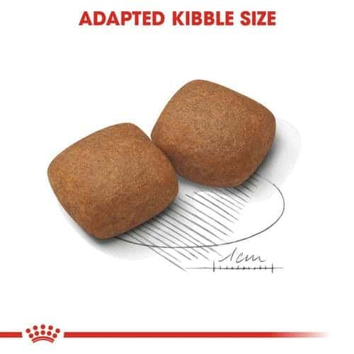 Royal Canin ����� ���� ���� ����� ����� ���� ��� 15 �"�