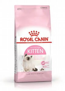 Royal Canin רויאל קנין קיטן מזון לגורי חתולים Royal Canin רויאל קנין קיטן מזון לגורי חתולים