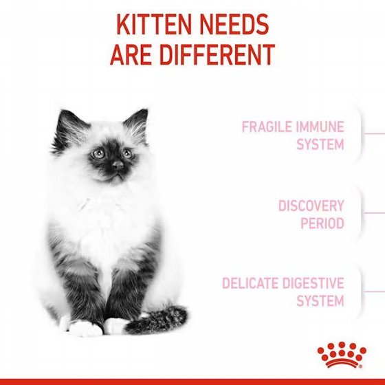 Royal Canin ����� ���� ���� ���� ����� ������