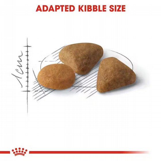 Royal Canin ����� ���� ������� ����� ���� ������� 4 �"�