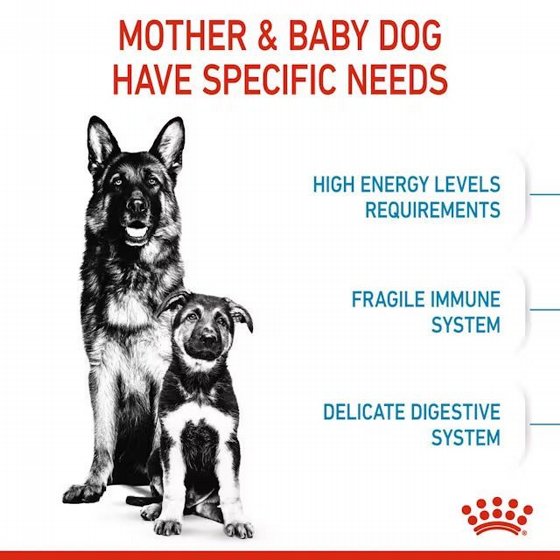 Royal Canin ����� ���� ���� ����� ����� ��� ���� ���� ������