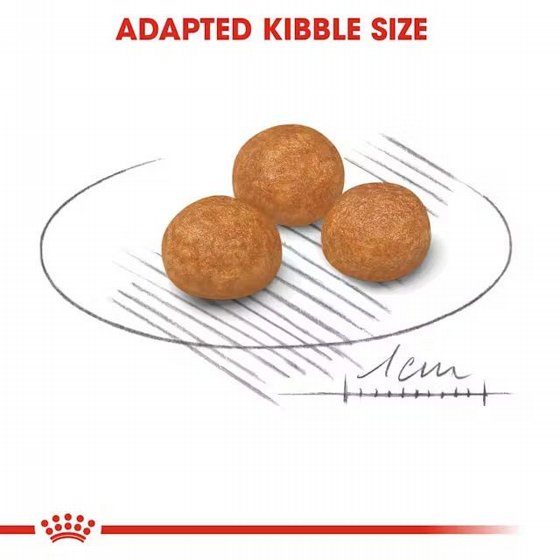 Royal Canin ����� ���� ���� ���� ���� ���� ��� ��� XS
