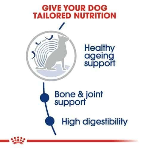 Royal Canin ����� ���� ���� ���� ��� ���� ����� 15 �"�