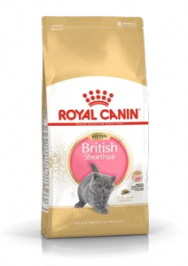 Royal Canin רויאל קנין מזון לגורי חתולים בריטי קצר שיער 2 ק"ג Royal Canin רויאל קנין מזון לגורי חתולים בריטי קצר שיער 2 ק"ג