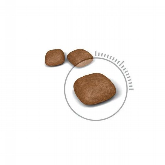Royal Canin ����� ���� ���� ����� ������� ��� 4 �"�