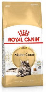 Royal Canin רויאל קנין Maine Coon לחתול בוגר Royal Canin רויאל קנין Maine Coon לחתול בוגר