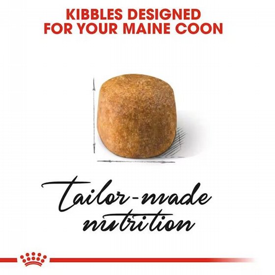 Royal Canin ����� ���� Maine Coon ����� ����