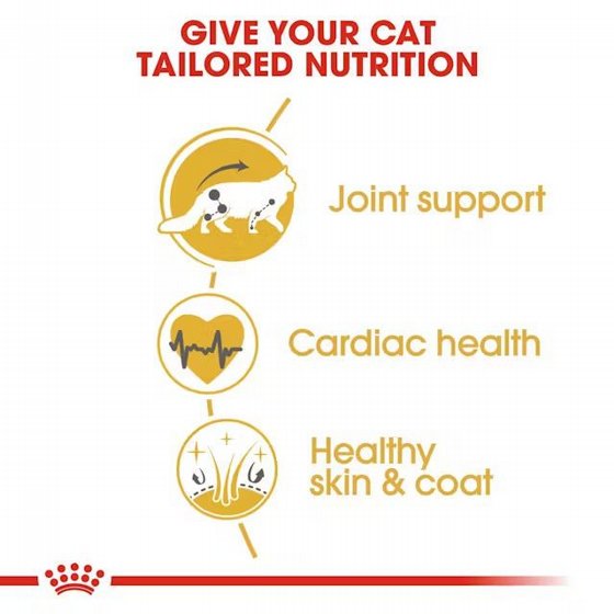Royal Canin ����� ���� Maine Coon ����� ����