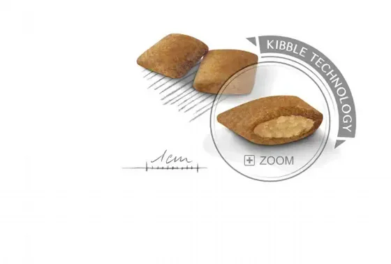Royal Canin Mini Exigent ����� ���� ���� ������� 3 �"�  | ���� ������ ������ ���� ���