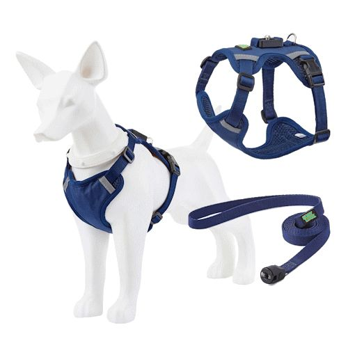 EASY LOCK ���� + ����� - ��� ���� Navy