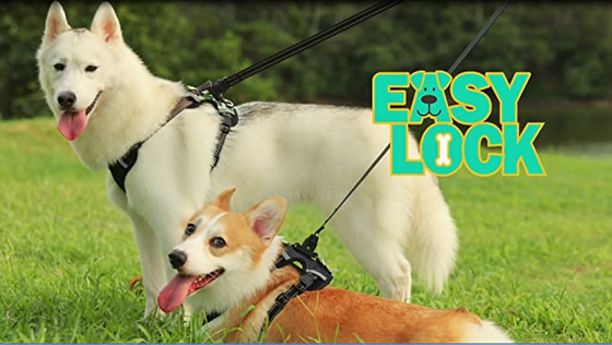 EASY LOCK ���� + ����� - ��� ���� Navy