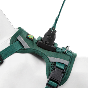 EASY LOCK רתמה + רצועה - צבע ירוק יער EASY LOCK רתמה + רצועה - צבע ירוק יער