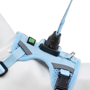 EASY LOCK רתמה + רצועה - צבע תכלת שמיים EASY LOCK רתמה + רצועה - צבע תכלת שמיים