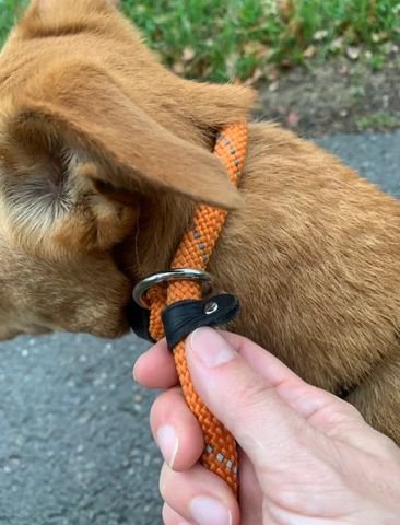 ����� ���� ��� 6 �� ������� ������ ����� ���� Petilux | ���� 150 ��