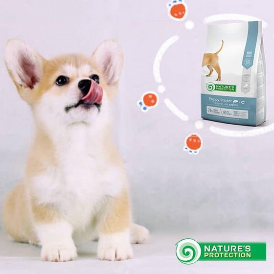 Natures Protection ������ ������� ����� ����� ����� �� ���� ����� ����� 18 �"�