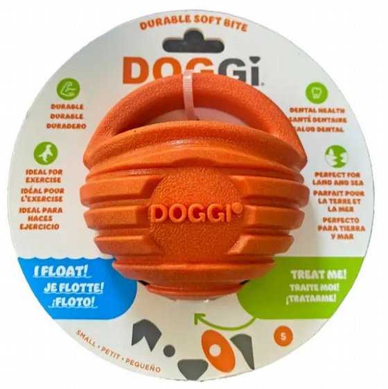 DOGGI ���� ���� ����� �� ���� ������