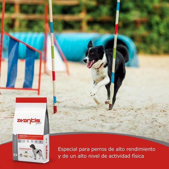 AVANTIS ������� �������� �����-������� ������ ������ - 15 �"�