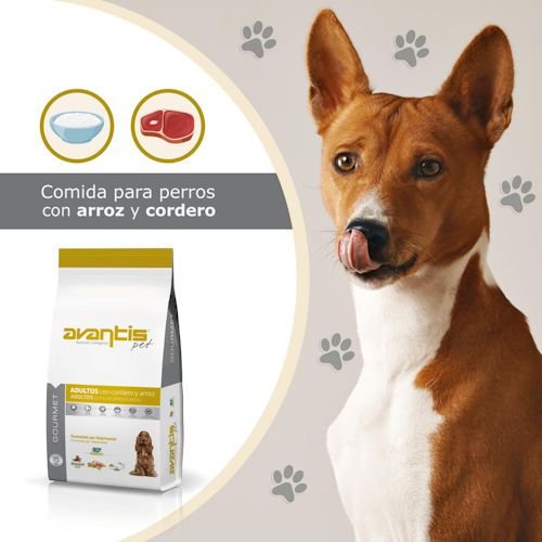 AVANTIS ������� ����� �� ���� ��� ���� ����