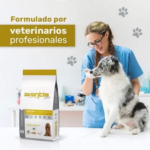 AVANTIS ������� ����� �� ���� ��� ���� ����